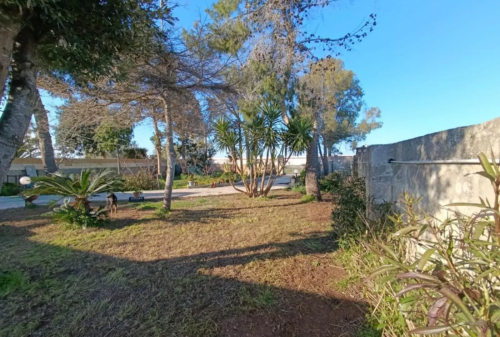 Holiday home Il Gelso Villa Lecce
